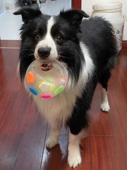 COLORIVER® TPR Dog Soccer Ball 🎉– Tough Chew, Bounce & Play-（Last Day! Offer Ends Tonight.）
