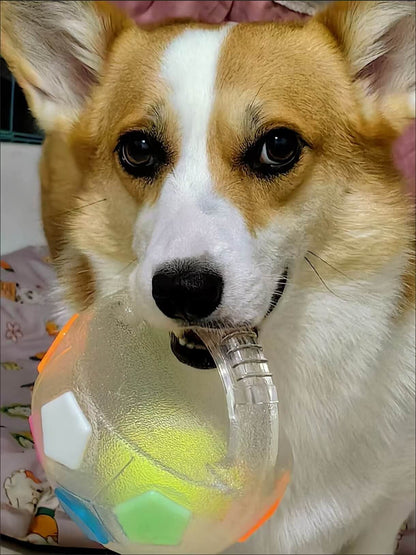 COLORIVER® TPR Dog Soccer Ball 🎉– Tough Chew, Bounce & Play-（Last Day! Offer Ends Tonight.）