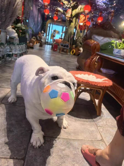 COLORIVER® TPR Dog Soccer Ball 🎉– Tough Chew, Bounce & Play-（Last Day! Offer Ends Tonight.）