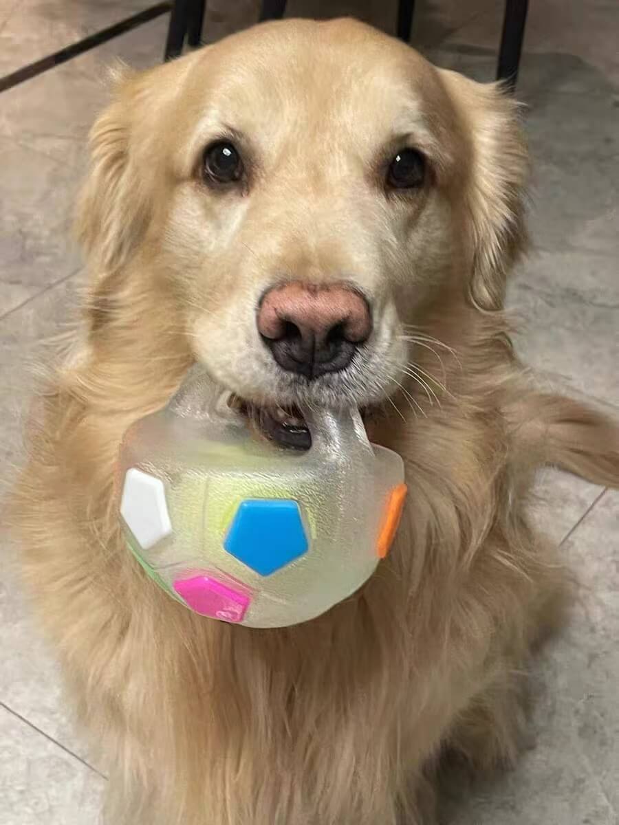 COLORIVER® TPR Dog Soccer Ball 🎉– Tough Chew, Bounce & Play-（Last Day! Offer Ends Tonight.）